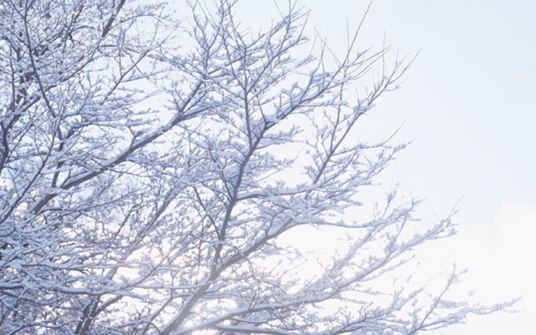 年末のご挨拶